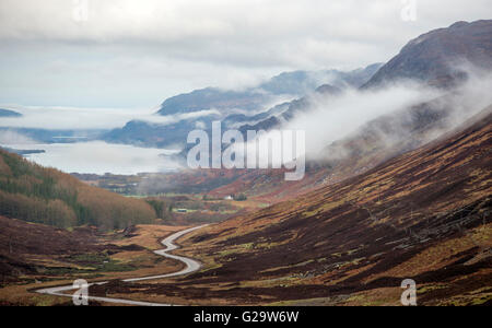 Matin brouillard dans la vallée de Glen Docherty, entre Kinlochewe et Loch Maree en Wester Ross, Ecosse UK Banque D'Images