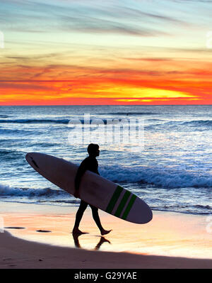 Surfer non identifié sur l'océan plage au coucher du soleil. Portugal Banque D'Images