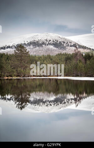 Creag et Ghiuthsachan Uath Lochan à Glen Feshie. Banque D'Images