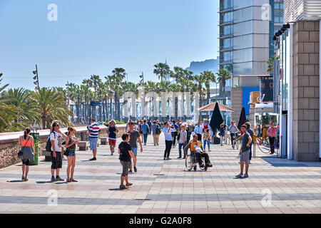 Le Port Olympique est une marina située à Barcelone, Catalogne Banque D'Images