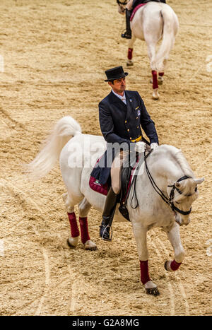 La Slovénie et la côte de Lipica Kras -le premier événement équestre de l'2016 chevaux lipizzans -Square École de danse Banque D'Images