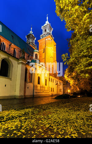 Cathédrale de Gniezno Gniezno, Pologne, Grande Pologne Banque D'Images