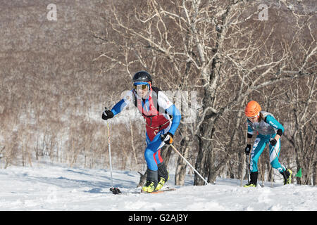 Ski alpinisme gravir la montagne sur des skis. Course verticale de ski alpinisme ISMF, asiatique, russe et championnat du Kamtchatka. Banque D'Images