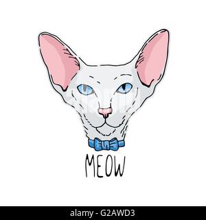 Portrait dessiné à la main du chat oriental. Chat blanc aux yeux bleus. Illustration de Vecteur