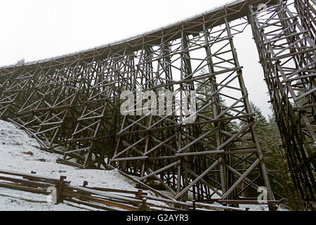 Le pont sur chevalets Kinsol de neige 4 Vancouver Island, Canada Banque D'Images