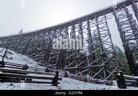 Le pont sur chevalets Kinsol en neige à l'île de Vancouver,Canada Banque D'Images