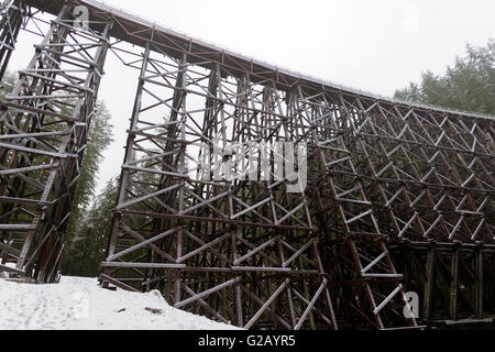 Le pont sur chevalets Kinsol sur la rivière Kokshilah avec snow 3 l'île de Vancouver,Canada Banque D'Images