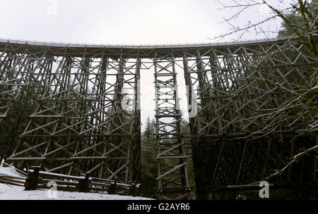 Le pont sur chevalets Kinsol sur la rivière Kokshilah vue complète sur l'île de Vancouver,Canada Banque D'Images