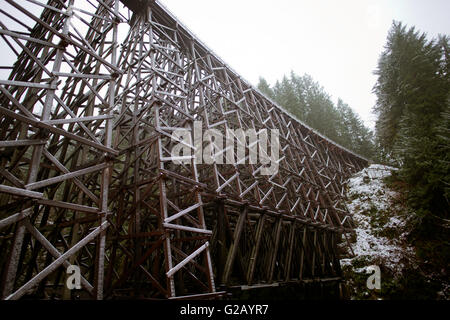 Le pont sur chevalets Kinsol sur la rivière Kokshilah avec snow 2 l'île de Vancouver,Canada Banque D'Images