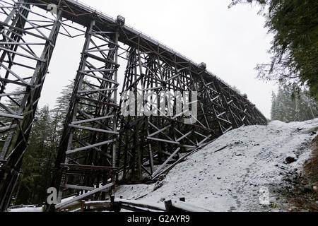 Kinsol Trestle à l'hiver l'île de Vancouver,Canada Banque D'Images