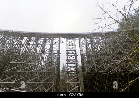 Kinsol Trestle historique avec la neige l'île de Vancouver,Canada Banque D'Images