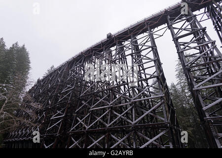 Le pont sur chevalets Kinsol vue panoramique avec la neige l'île de Vancouver,Canada Banque D'Images