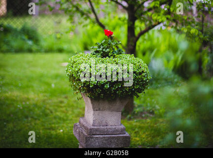 Urne sur pied avec des fleurs dans le jardin vert Banque D'Images