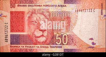 Lion sur le rand d'Afrique du Sud Banque D'Images