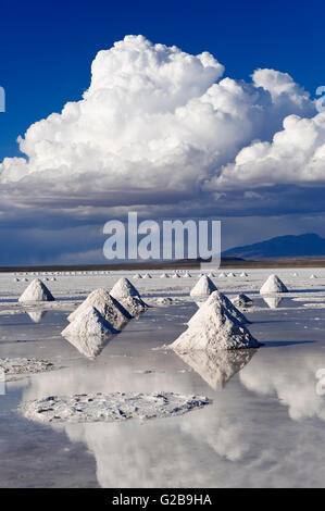 Cônes de sel, le Salar de Uyuni, Potosi, Bolivie Banque D'Images