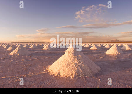 Cônes de sel, le Salar de Uyuni au coucher du soleil, Potosi, Bolivie Banque D'Images