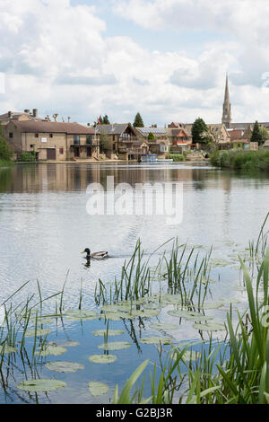 Une vue le long de la rivière Great Ouse, direction St Ives Cambridgeshire Uk Banque D'Images