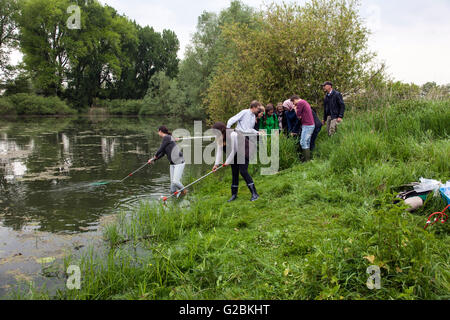 Les biologistes prend un échantillon d'eau dans un étang envahi. Banque D'Images