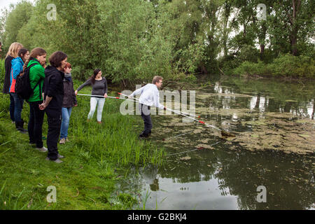 Les biologistes prend un échantillon d'eau dans un étang envahi. Banque D'Images