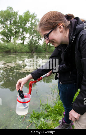 Analyser leur biologiste échantillon d'eau. Banque D'Images