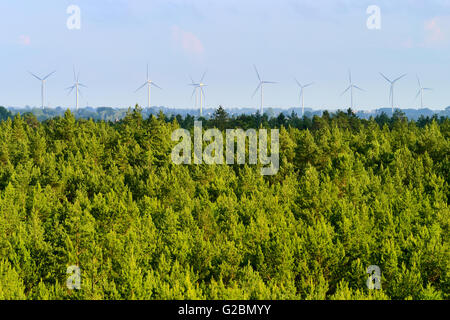 Paysage aérien avec pinède et éoliennes à l'horizon. Occidentale, dans le nord de la Pologne. Banque D'Images