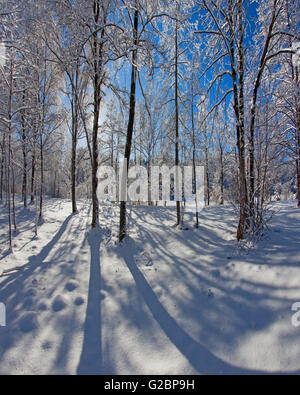 DE - La Bavière : Winter Wonderland près de Bad Toelz Banque D'Images