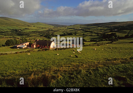 Campagne dans la péninsule de Dingle, comté de Kerry, Irlande Banque D'Images