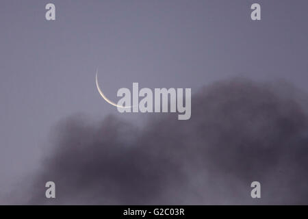 Croissant de lune au début de l'aube. Banque D'Images