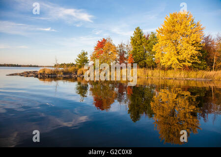 Arbres de brillantes couleurs d'automne mettez en surbrillance le rivage dans Parc National Voyageurs, Kabetogama Lake, Minnesota, USA Banque D'Images