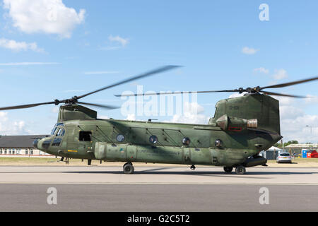 Royal Netherlands Air Force Boeing CH-47D Chinook D'Hélicoptère de transport militaire A-101 de 298 Escadron basé à Gilze Rijen. Banque D'Images