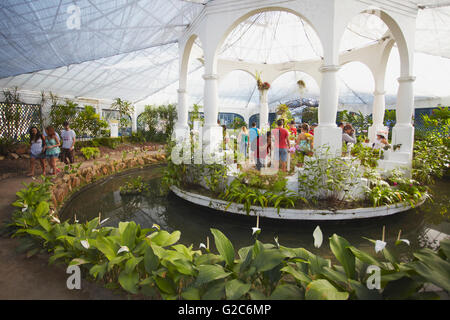 Les gens à l'intérieur orchid house au Jardin botanique, Jardim Botanico, Rio de Janeiro, Brésil Banque D'Images