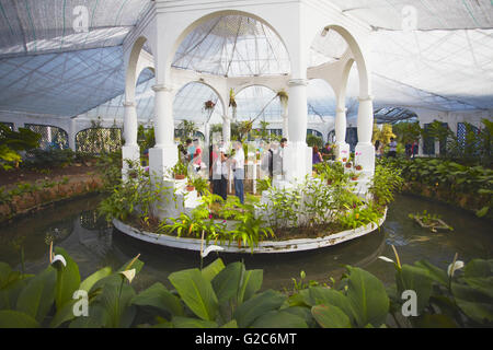 Les gens à l'intérieur orchid house au Jardin botanique, Jardim Botanico, Rio de Janeiro, Brésil Banque D'Images