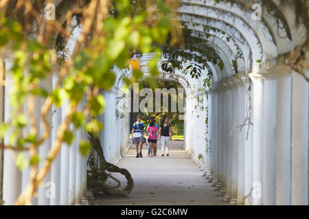 Personnes au Jardin botanique, Jardim Botanico, Rio de Janeiro, Brésil Banque D'Images