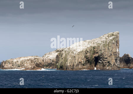 Îles Bounty (groupe principal), Nouvelle-Zélande Banque D'Images