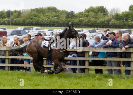 Perdre sur une piste de course de chevaux Banque D'Images