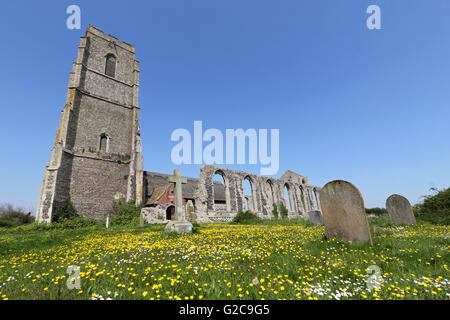 Renoncules et marguerites dans le cimetière de St Andrew's Church, Covehithe, Suffolk, Angleterre, Royaume-Uni. Banque D'Images