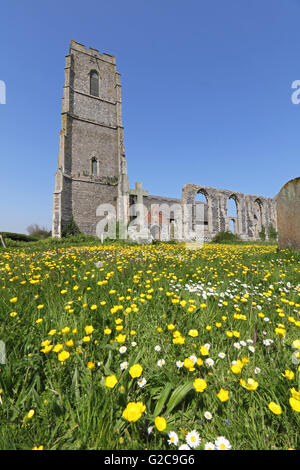 Renoncules et marguerites dans le cimetière de St Andrew's Church, Covehithe, Suffolk, Angleterre, Royaume-Uni. Banque D'Images