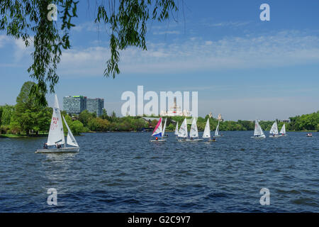 Bateaux à voile sur le lac du parc Herastrau, Bucarest, Roumanie. Banque D'Images