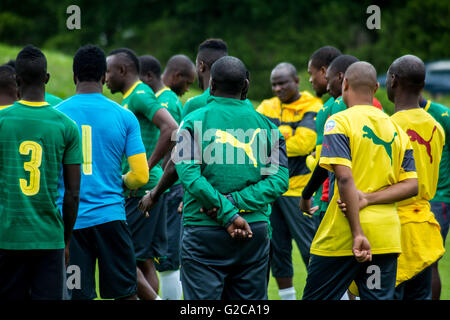 L'équipe nationale de football du Cameroun session de formation à Nantes, France. Banque D'Images