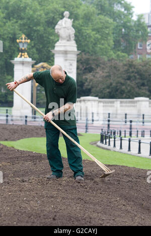 Les parcs royaux de jardinier ratisser le sol prêt à la plantation Banque D'Images