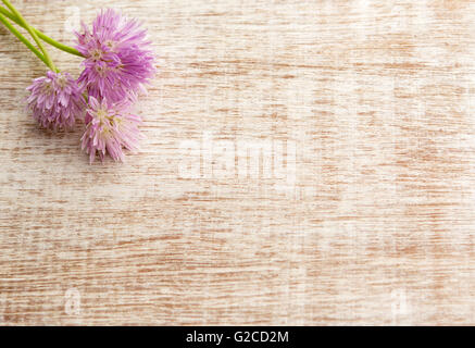 Jolie rose bouquet de fleurs de l'herbe ciboulette, sur fond de bois clair. Vue supérieure avec copie espace, tourné pour message board Banque D'Images