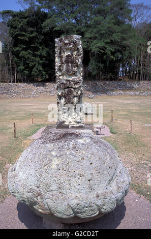 Autel et une stèle à ruines de Copan, un site archéologique de la civilisation Maya à Copan, Honduras Ministère Banque D'Images