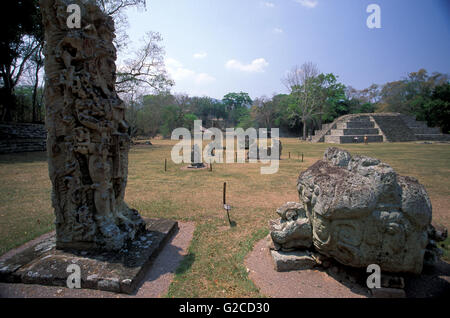 Stela D et dans l'autel zoomorphe à ruines de Copan, un site archéologique de la civilisation Maya Banque D'Images