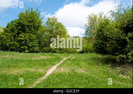 Chemin menant au printemps park sur une journée ensoleillée. Banque D'Images