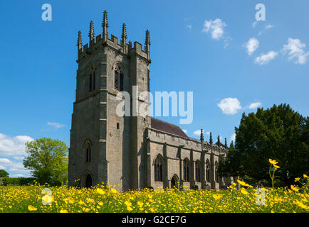 Buttercup meadow à Bataille Église près de Shrewsbury dans le Shropshire, England, UK. Banque D'Images