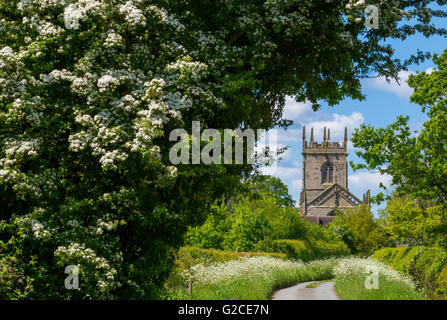 Église de bataille encadrée par fleur de printemps près de Shrewsbury dans le Shropshire, England, UK. Banque D'Images