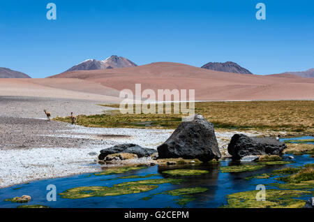 Route à travers les Andes près de Paso Jama, Chile-Argentina-Bolivie. Banque D'Images