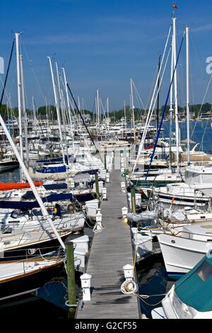 Bateaux voile blanche dans le port d'Annapolis Banque D'Images