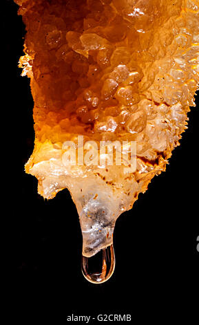 Stalactites de paille avec de l'eau couler sur la TP, Grotta Impossibile, Italie Banque D'Images