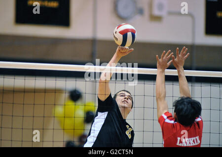 Joueur à la une nette finessing drop shot qui a abouti à un ensemble final point pour son équipe pendant un match de volley-ball de l'école secondaire. USA. Banque D'Images